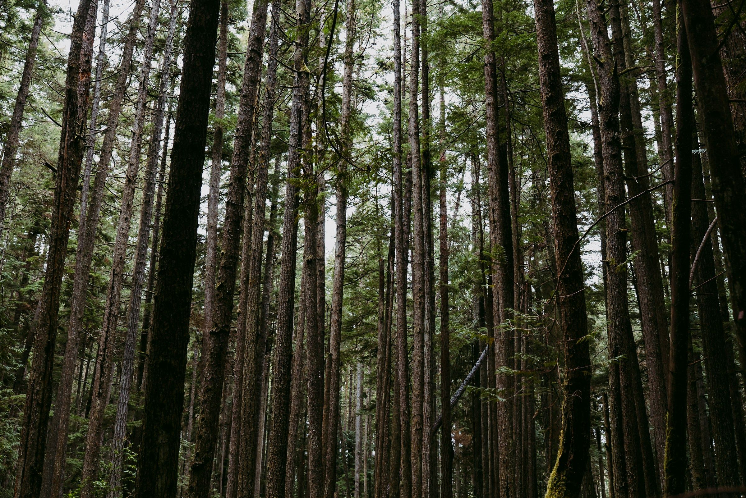 Photo illustrant le contenu de la page