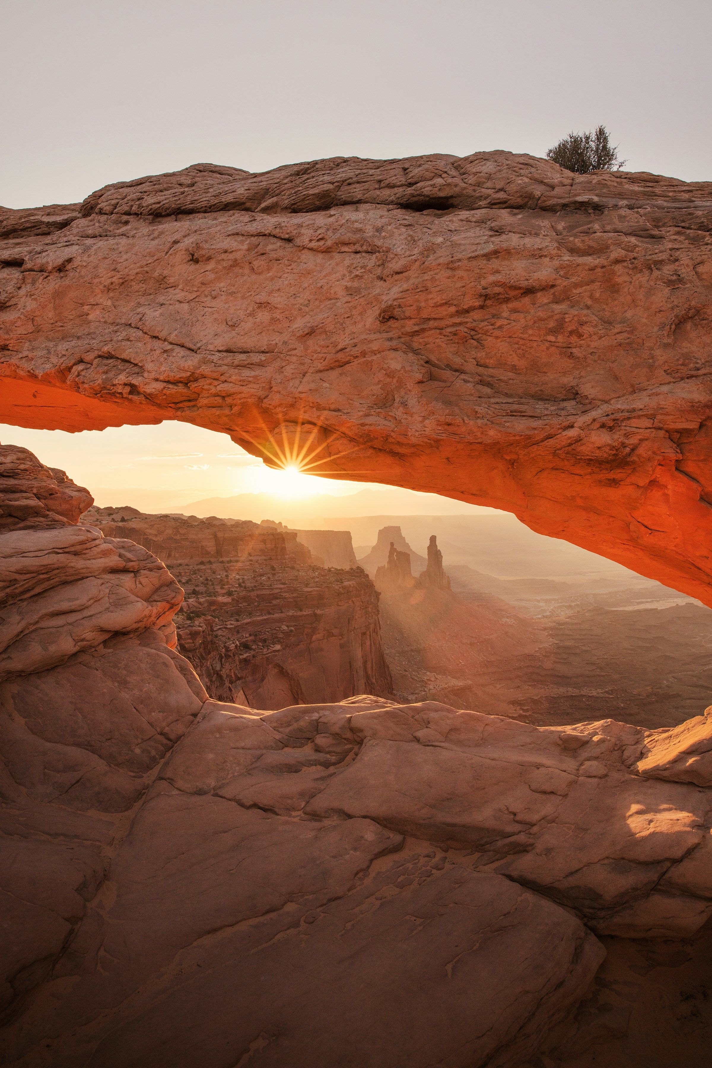 Photo illustrant le contenu de la page