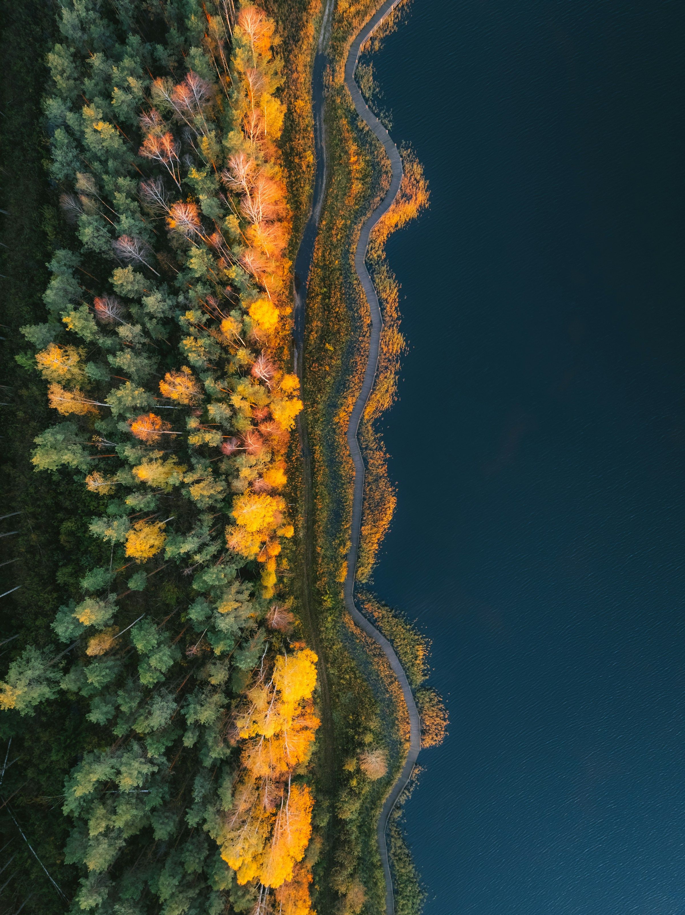 Photo illustrant le contenu de la page