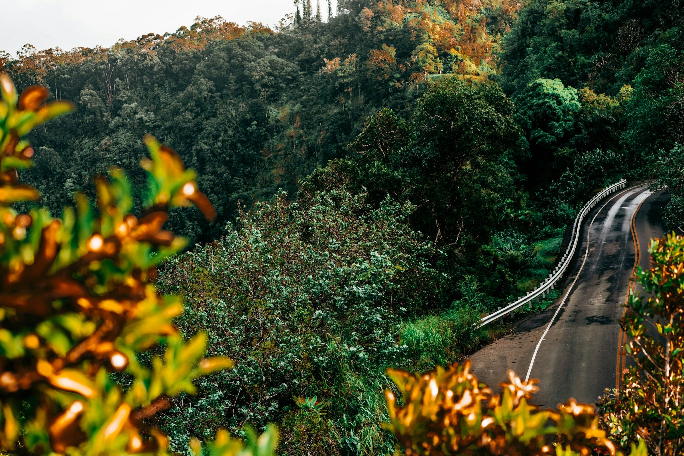 Photo illustrant le contenu de la page