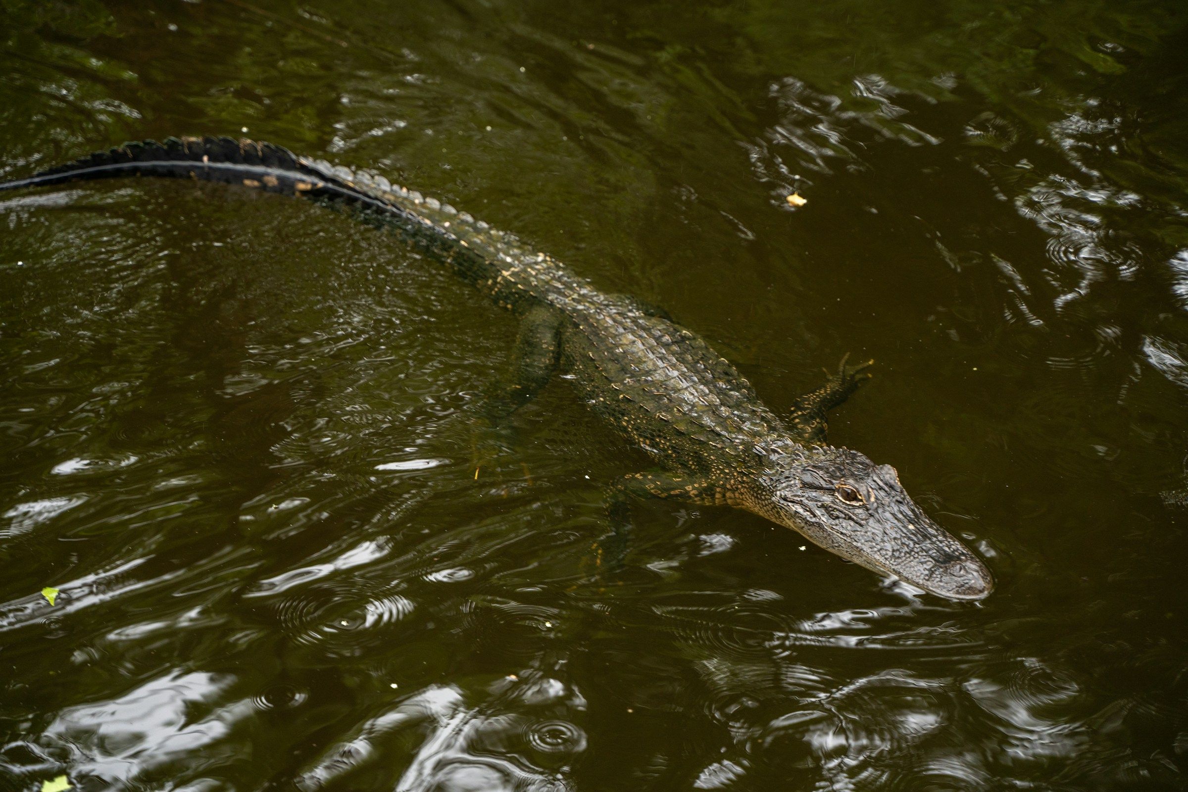 Photo illustrant le contenu de la page