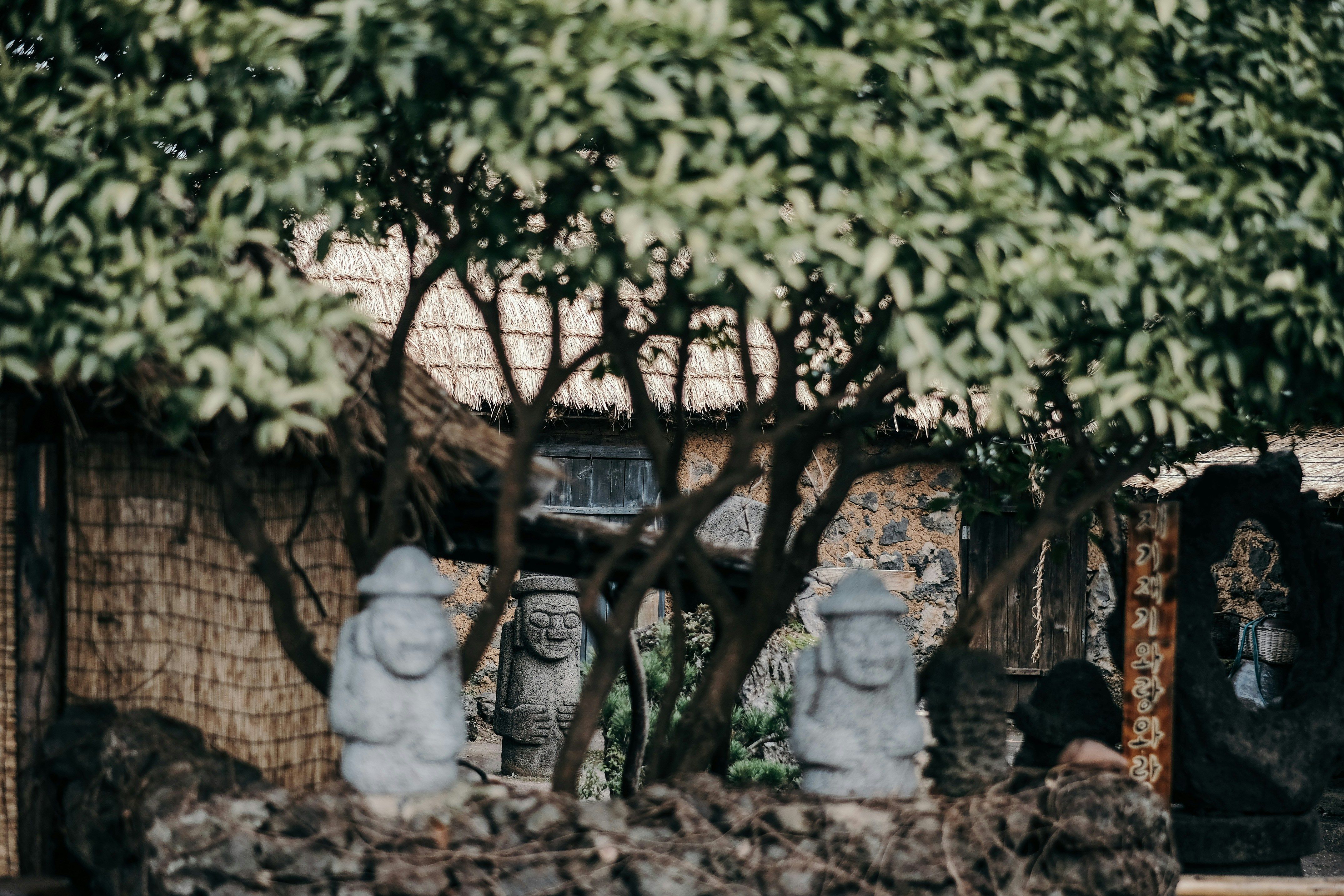 Photo illustrant le contenu de la page