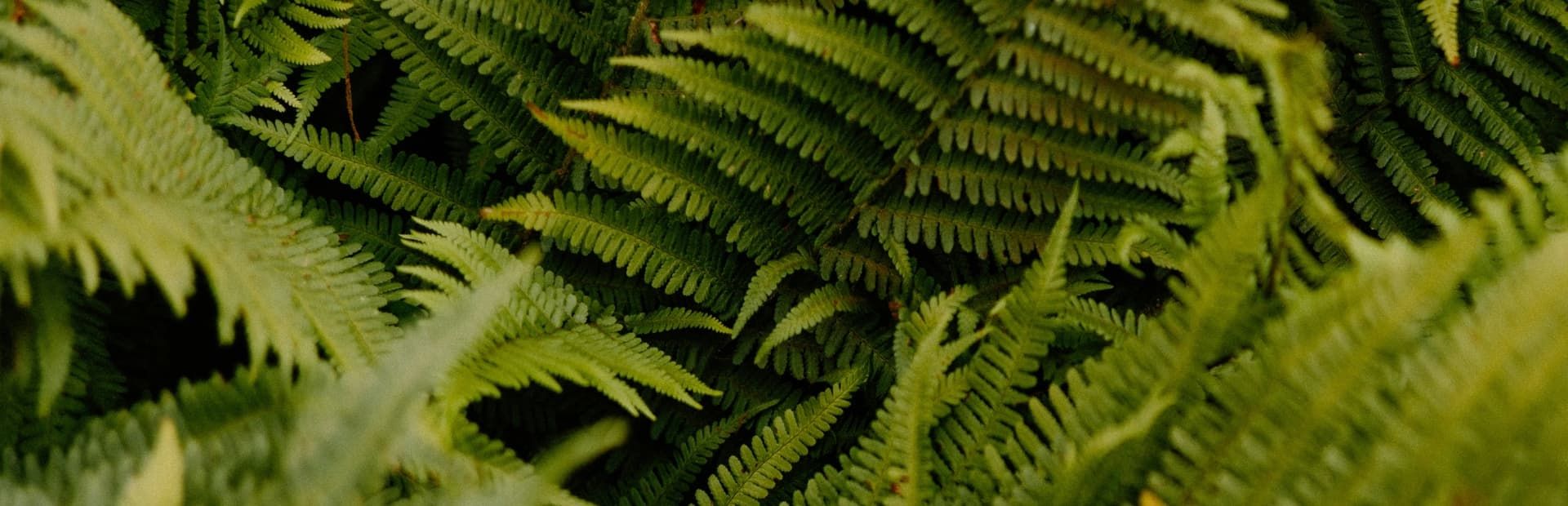 Photo illustrant le contenu de la page