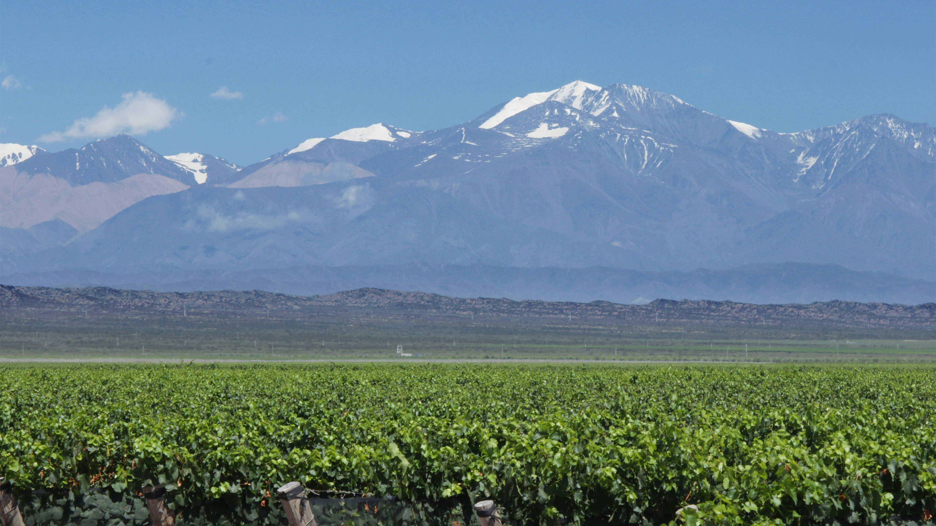 Photo illustrant le contenu de la page