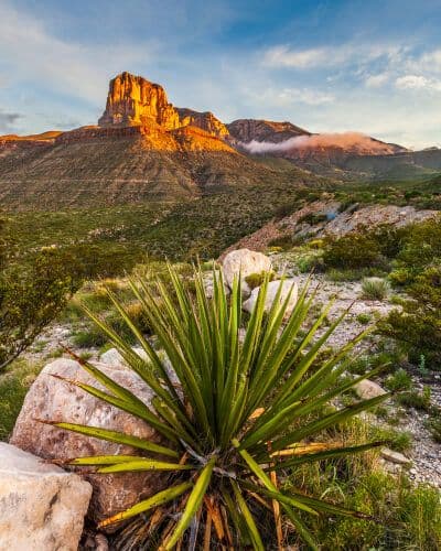 Guadalupe Mountains National Park