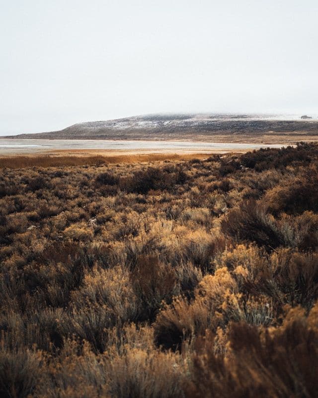 Antelope Island State Park