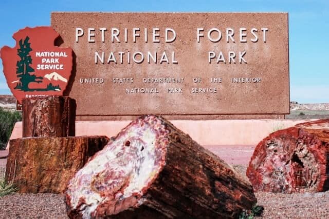 Petrified Forest
