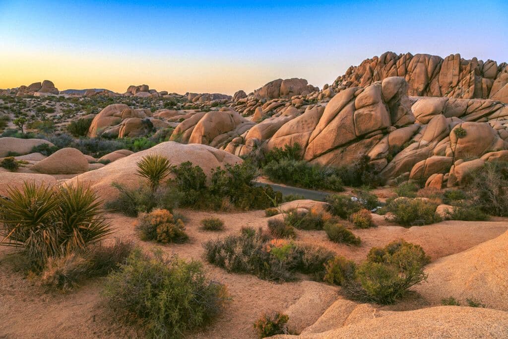 Parc national de Joshua Tree