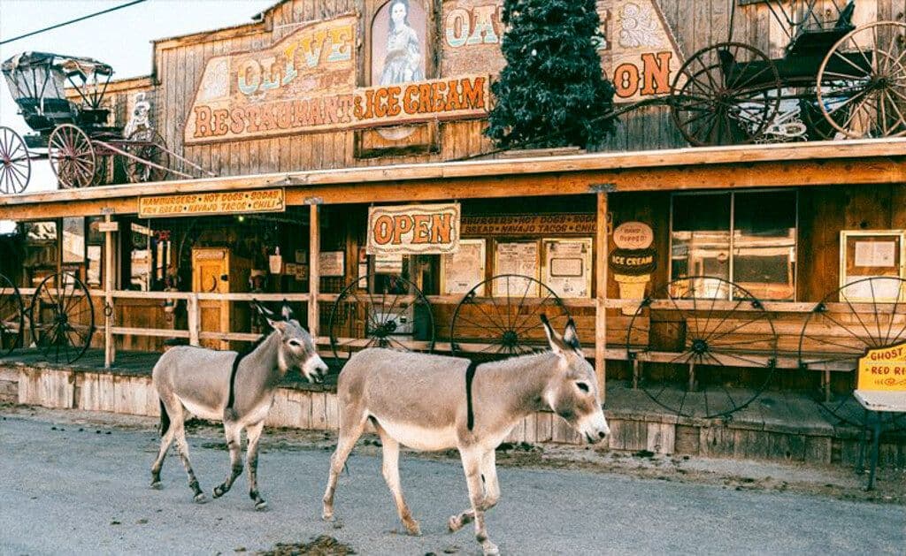 Route 66, ânes à Kingman