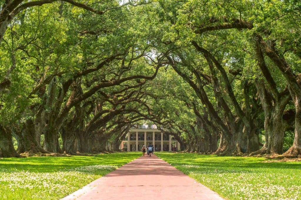 Oak Alley Plantation