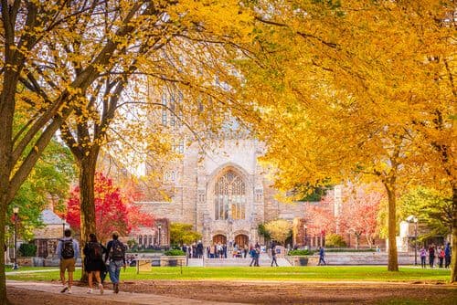 Yale University