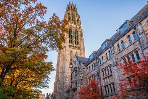 Yale University