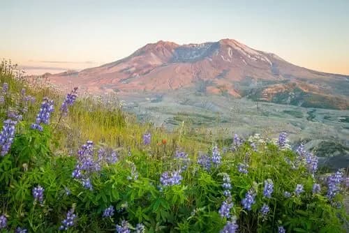 Le volcan Mont Saint Helens