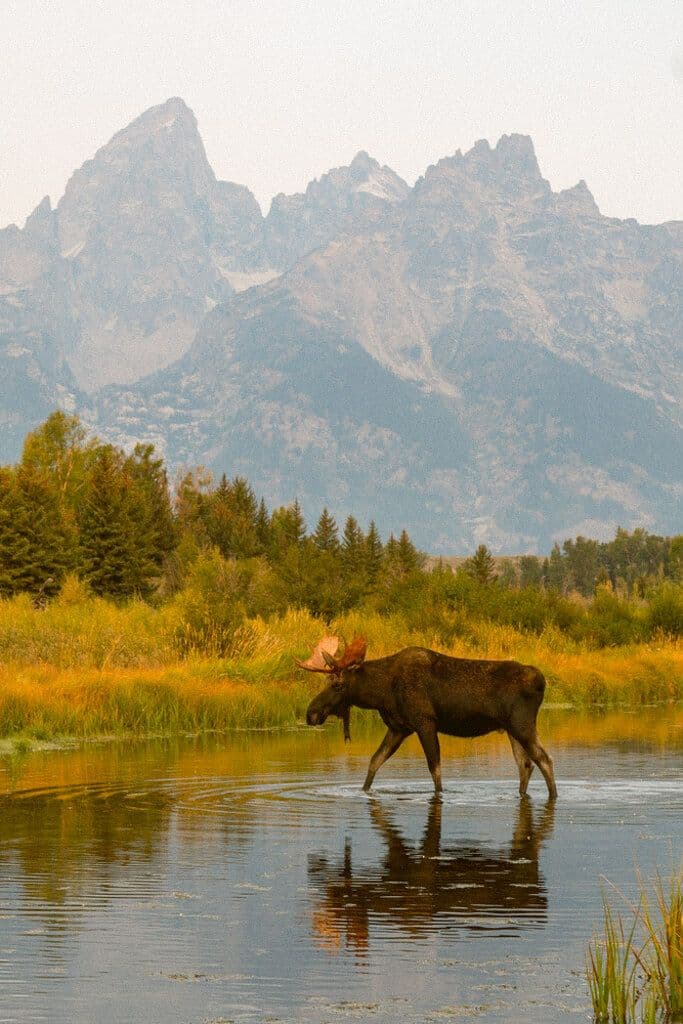 Grand Teton National Park