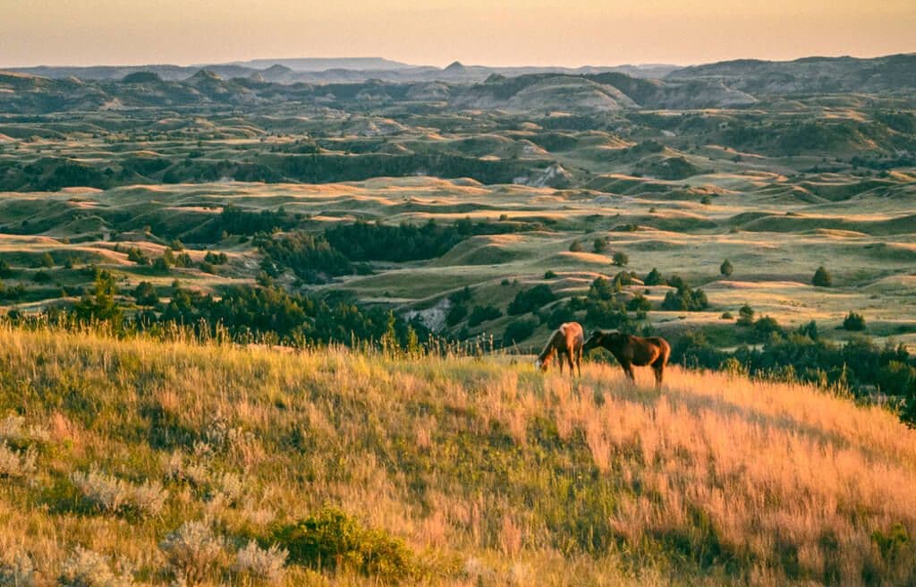 Watford City, Theodore Roosevelt NP