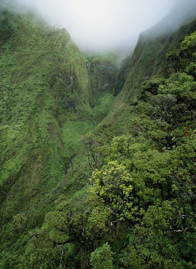Iao Valley State Park