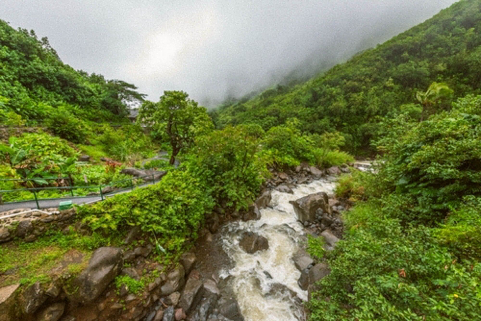 Iao Valley State Park