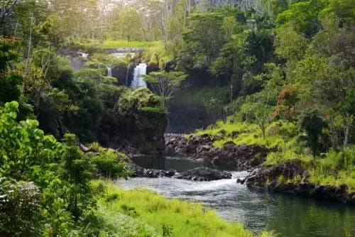 Les Peepee Falls à Hilo