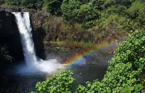 Les Rainbow falls à Hilo