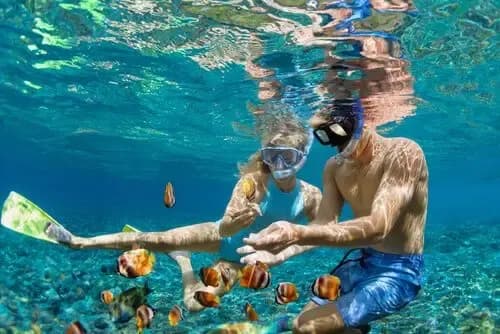 snorkeling à Hawai