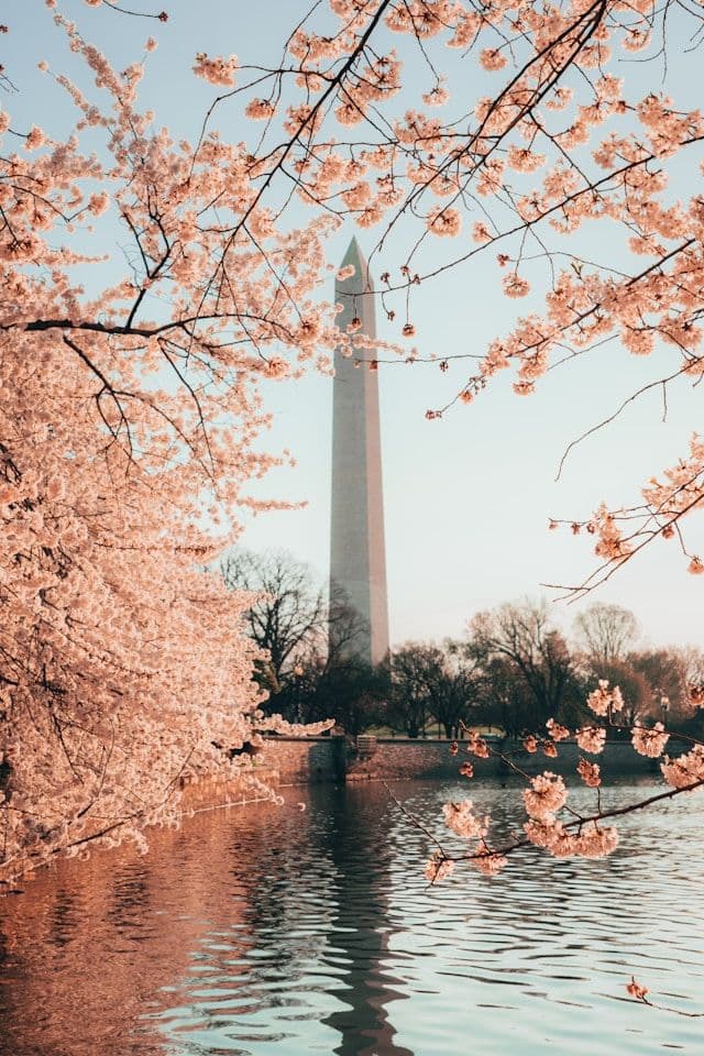 Tidal Basin, Washington