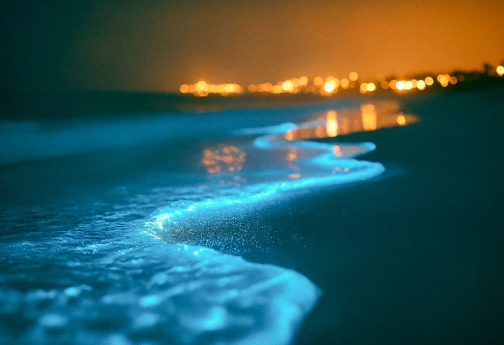 Plage bioluminescente à Porto Rico