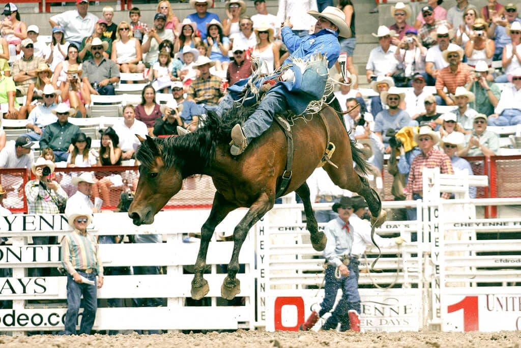 Rodéo à Cheyenne