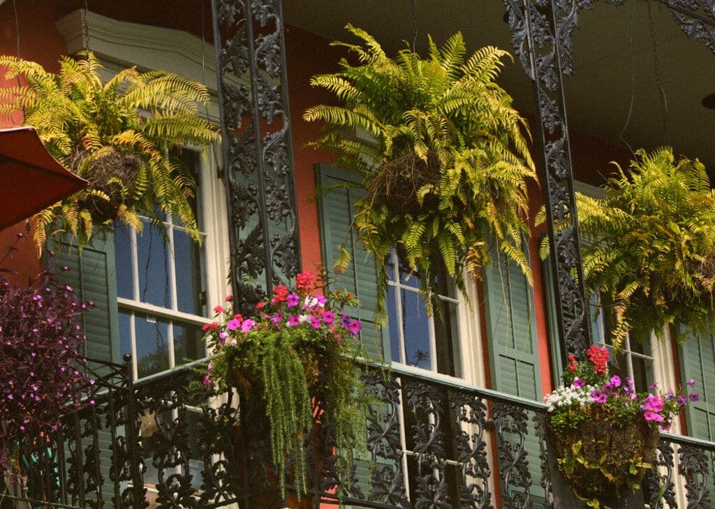 La Nouvelle-Orléans