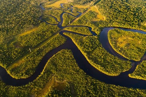 La forêt amazonienne au Brésil