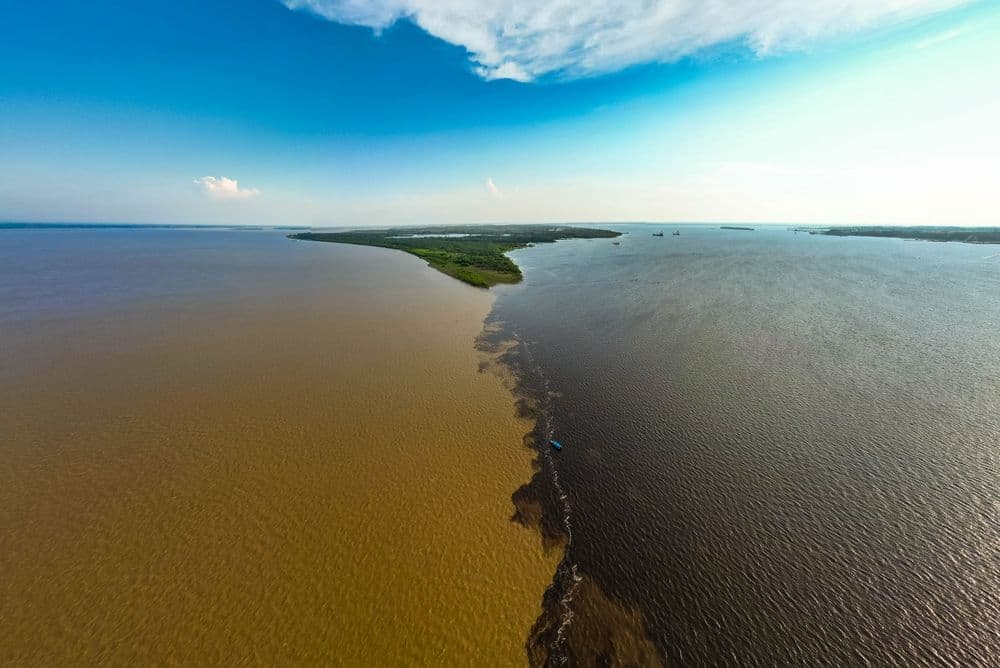 Forêt amazonienne, Brésil
