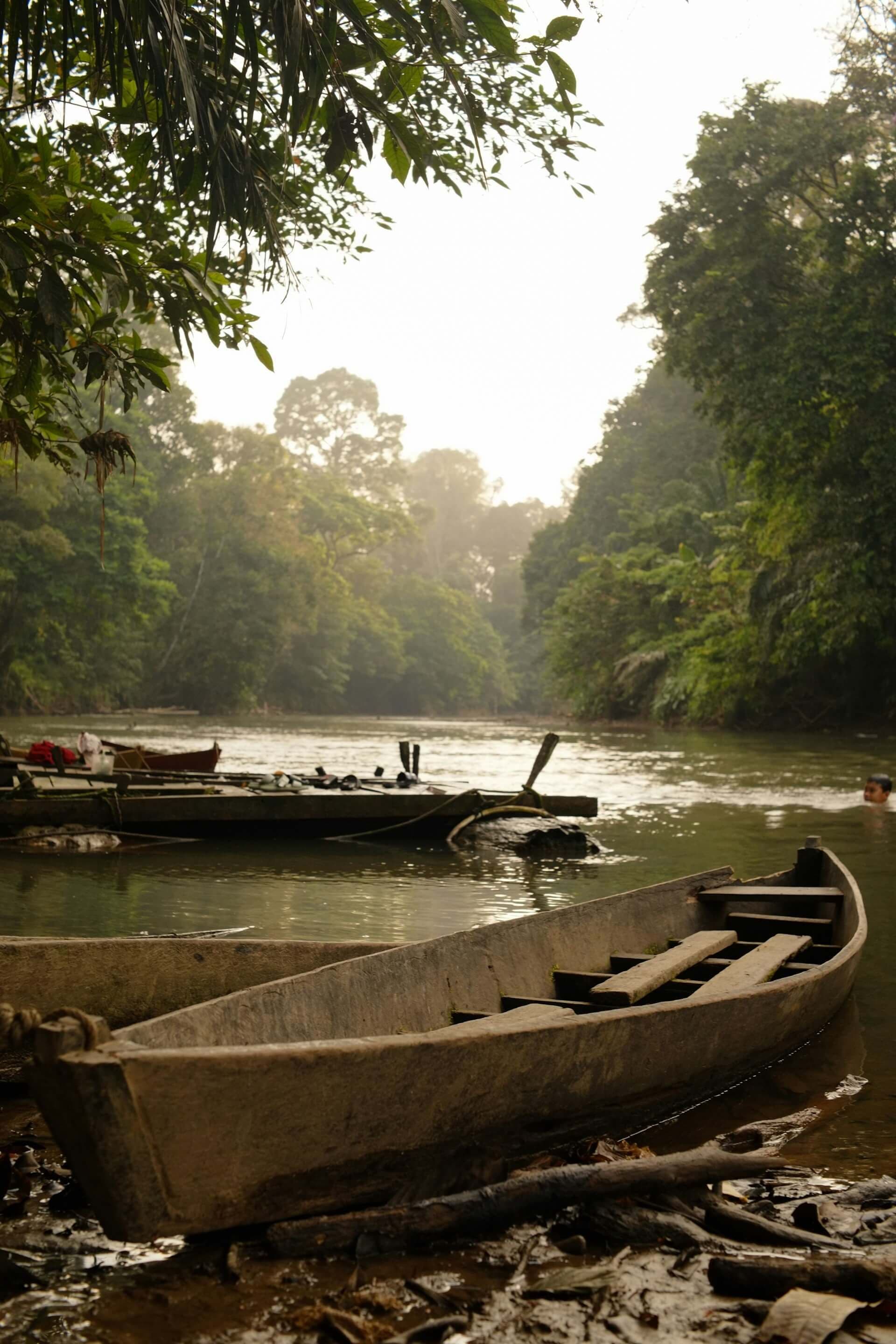 Forêt amazonienne, Brésil