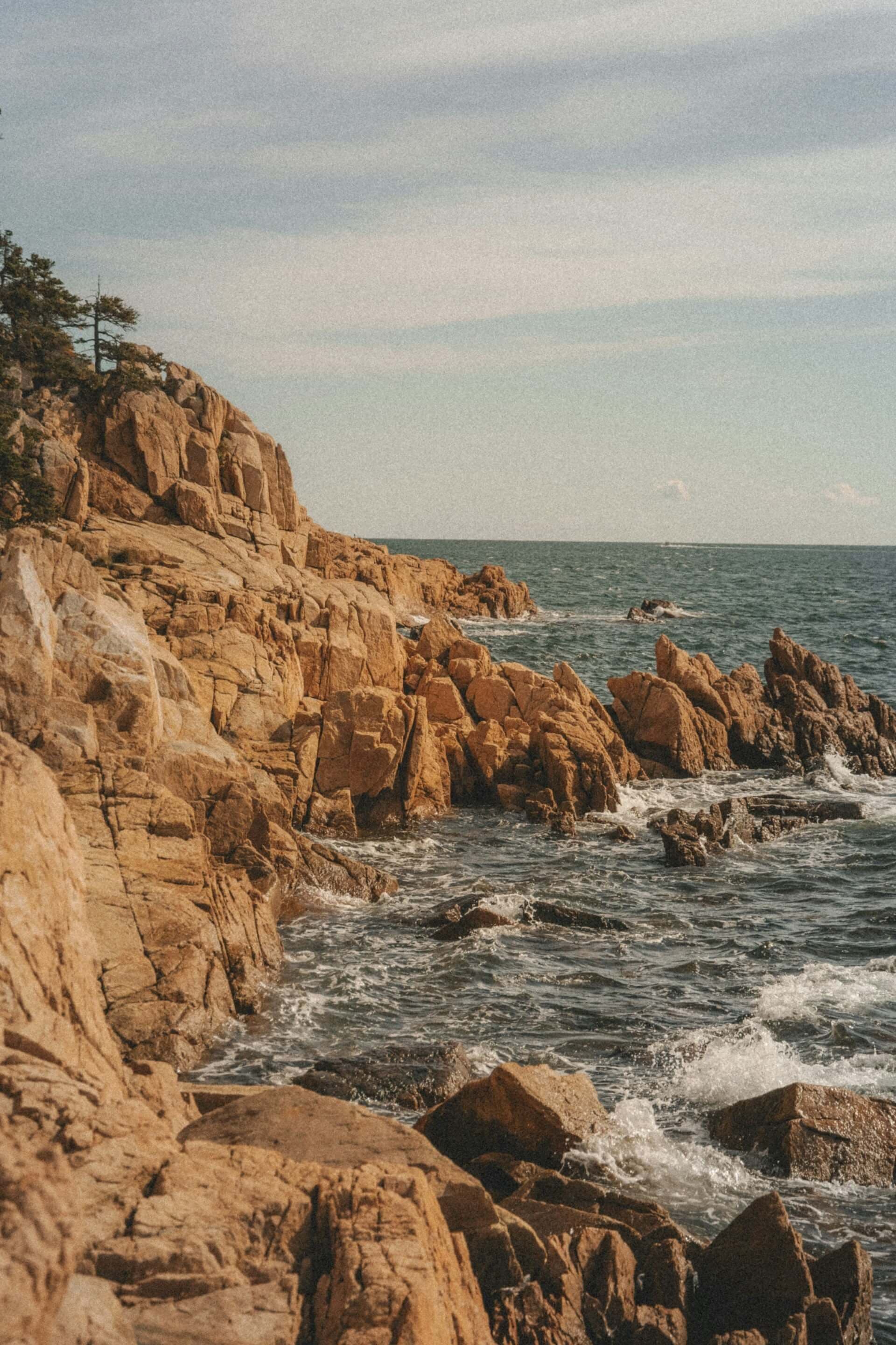 Freycinet