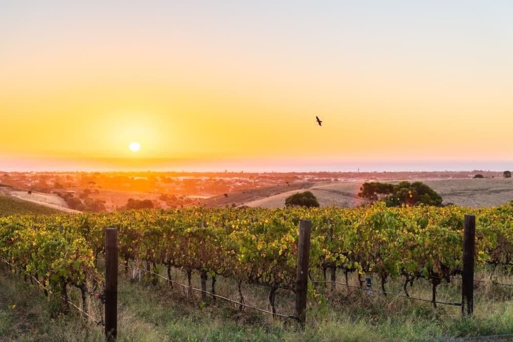 McLaren Vale