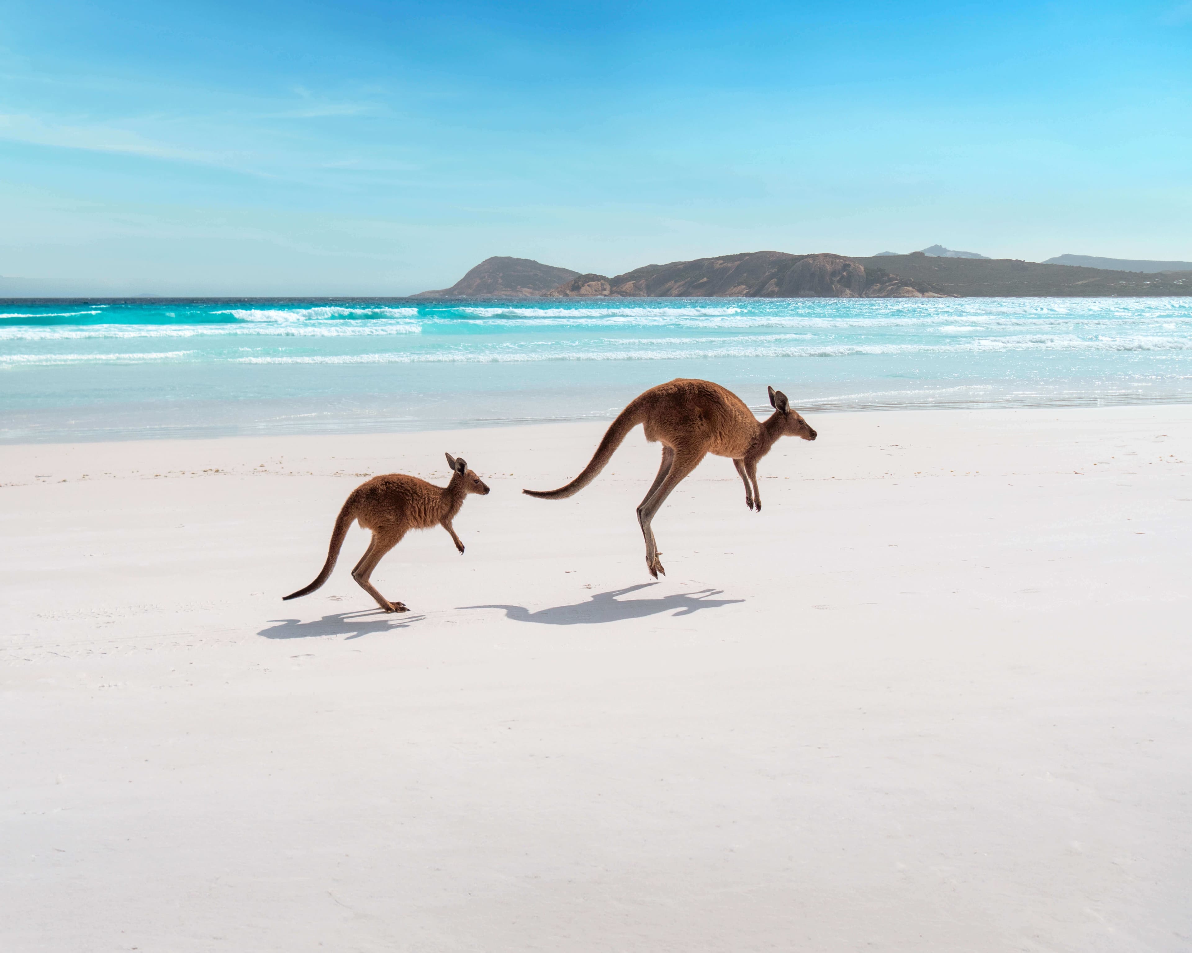 Lucky Bay, Cape Le Grand National Park