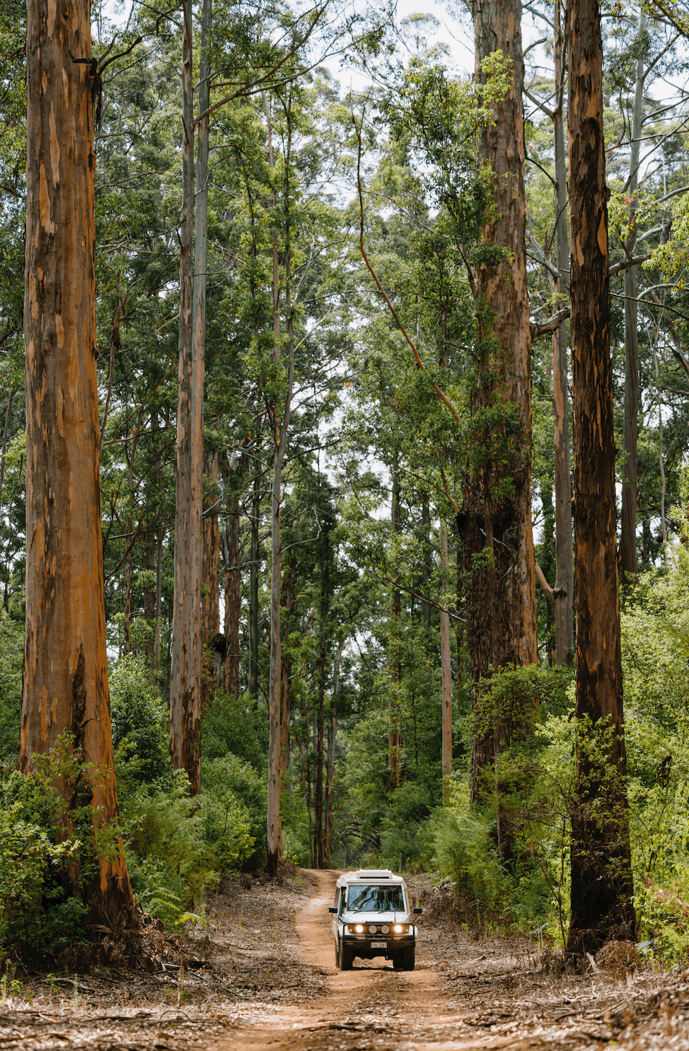 Pemberton Discovery Tours