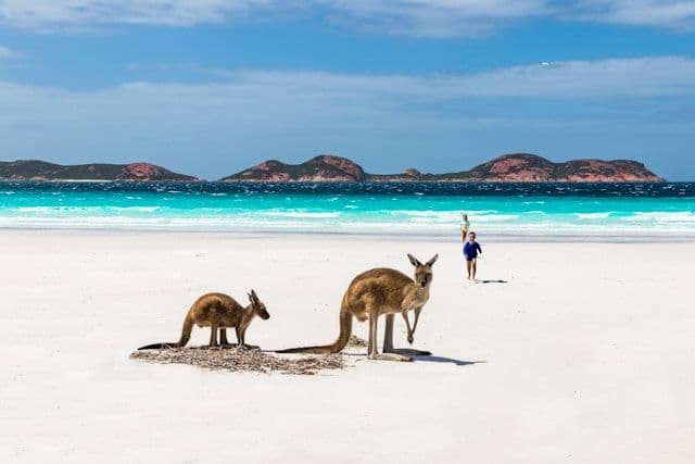 La plage de Lucky Bay et les kangourous