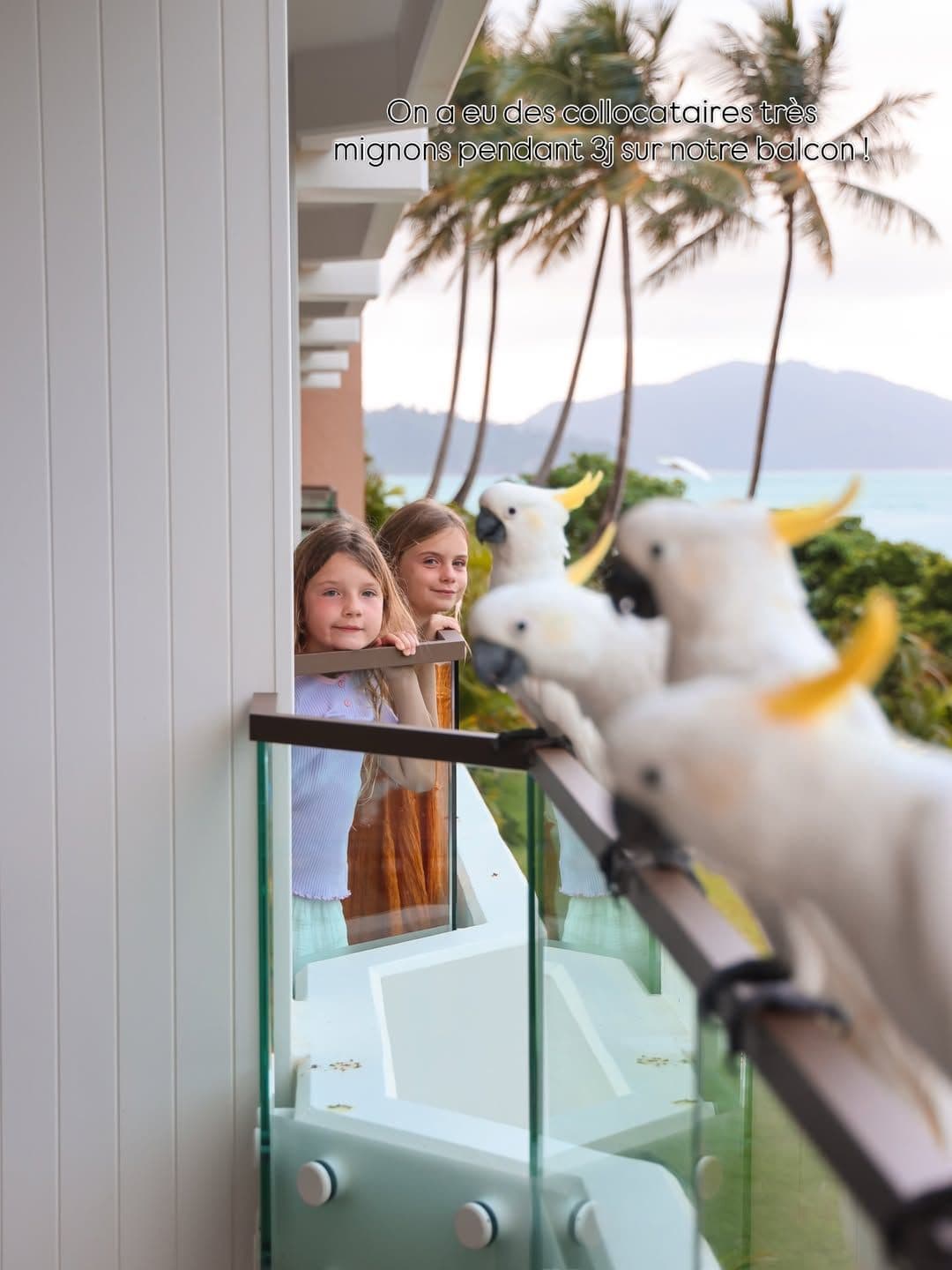Hamilton-Island