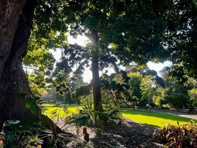 Royal Botanic Garden Sydney
