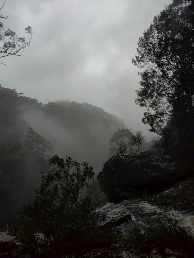 Springbrook National Park, Australie
