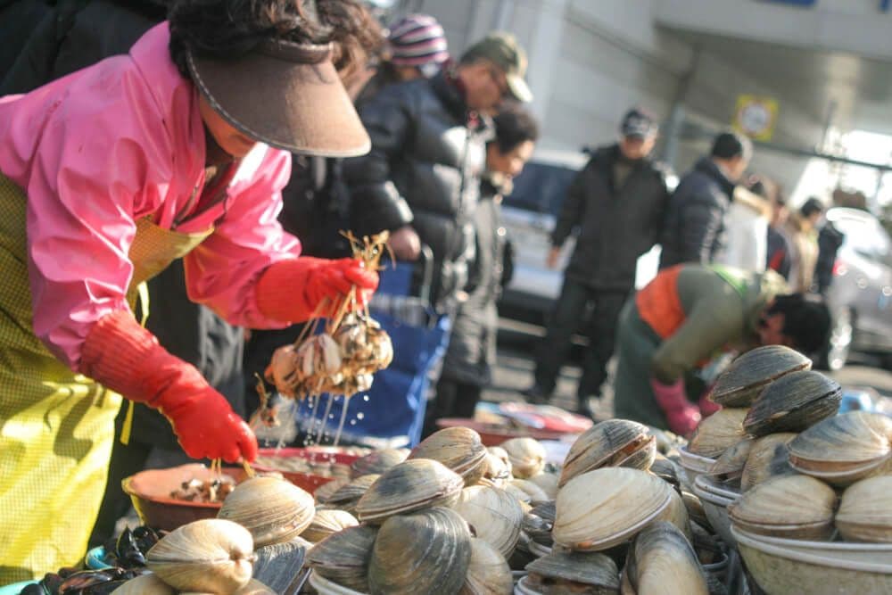 Jagalchi Fish Market