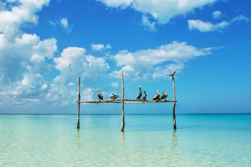 Île d'Holbox au Mexique