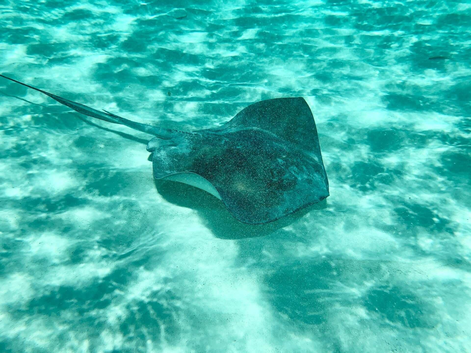 Cozumel