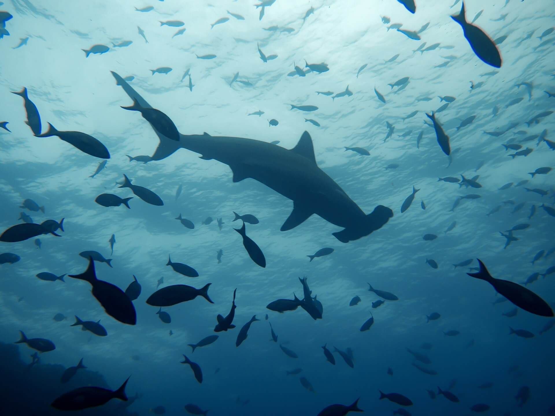 La Paz, Baja California, Mexique