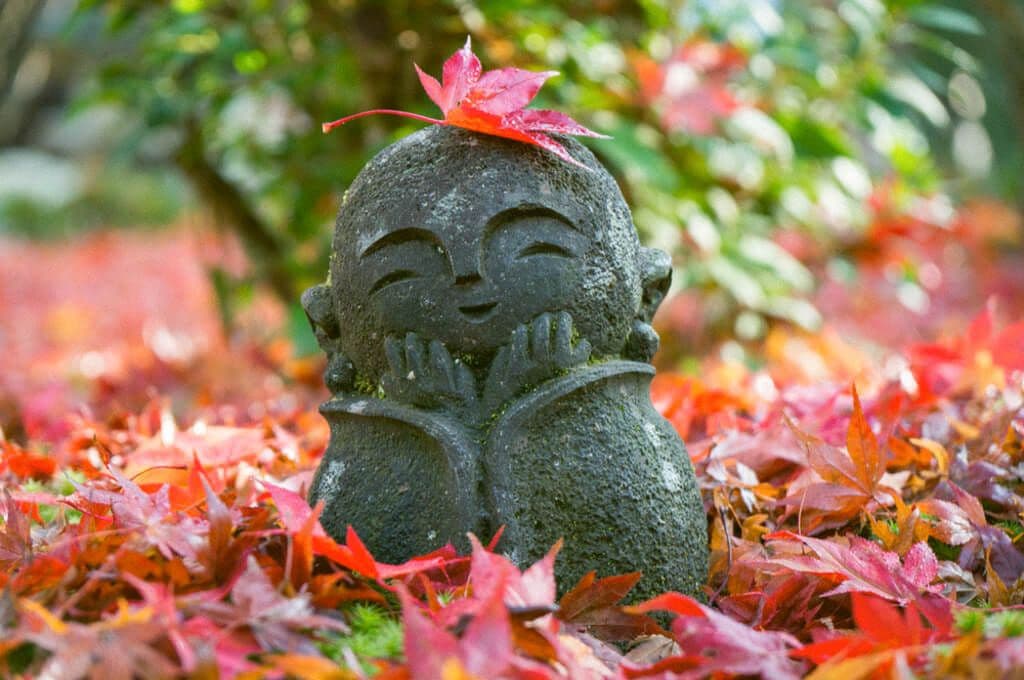 Les jardins Enko Ji à Kyoto