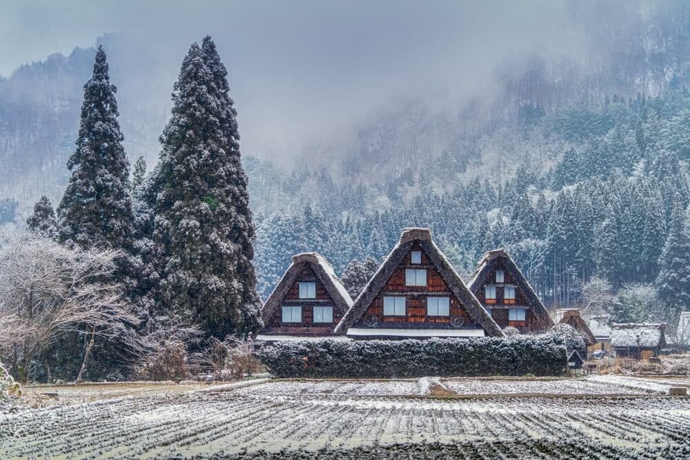 Shirakawago