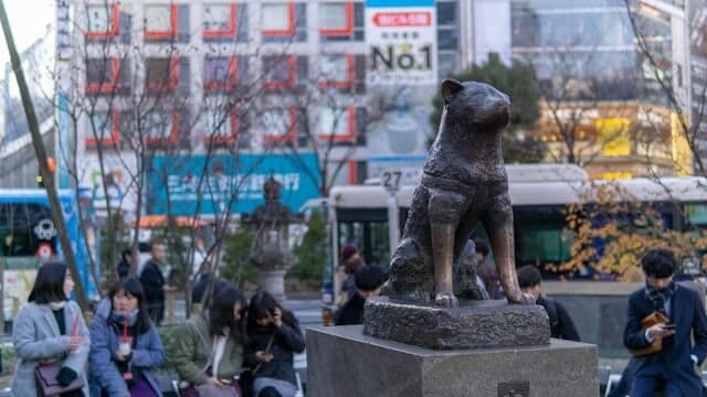 Statue du chien Hachiko à Shibuya