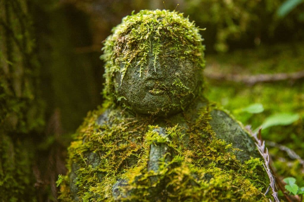 Statue Mossy Jizo