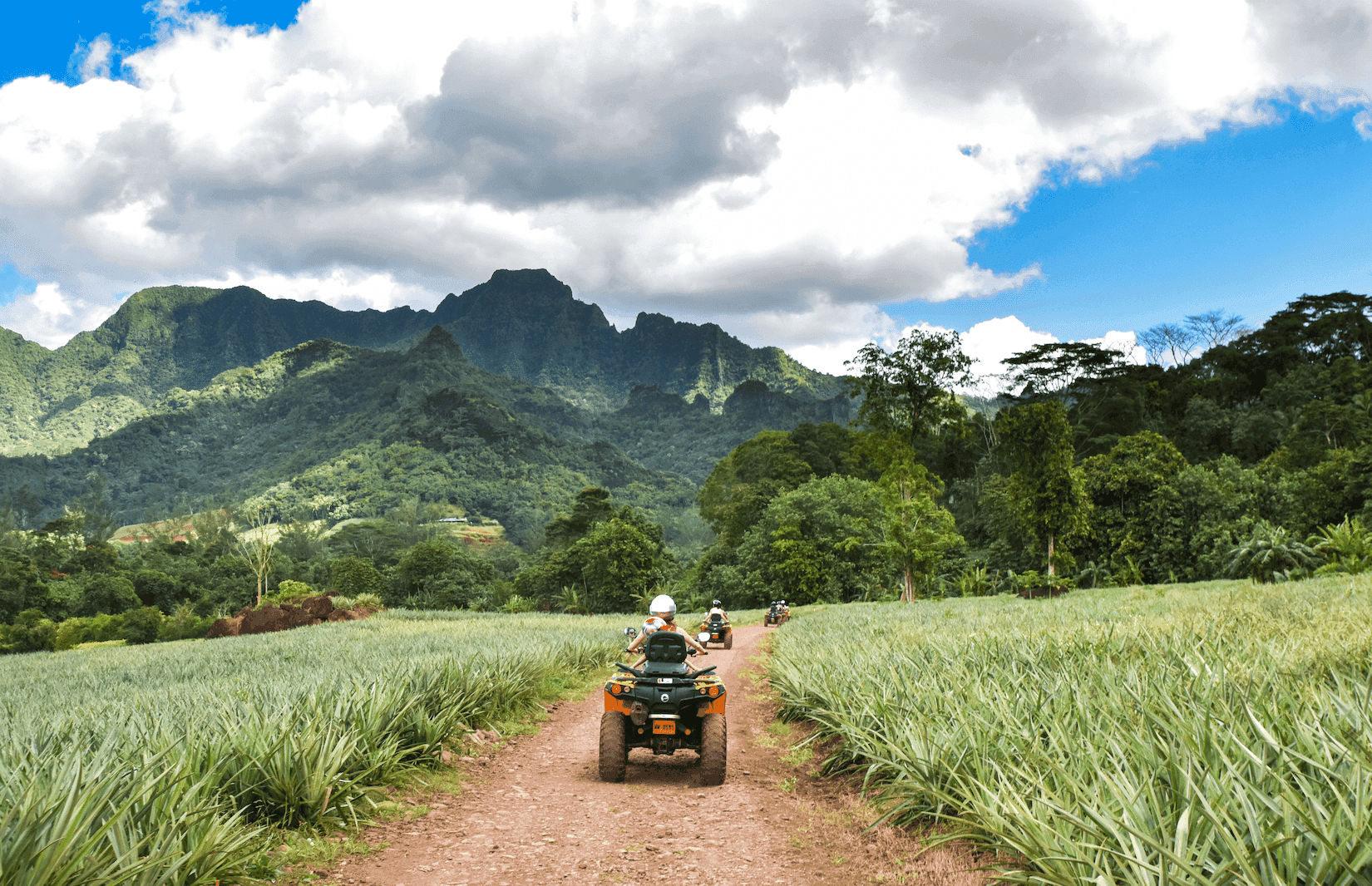 Moorea