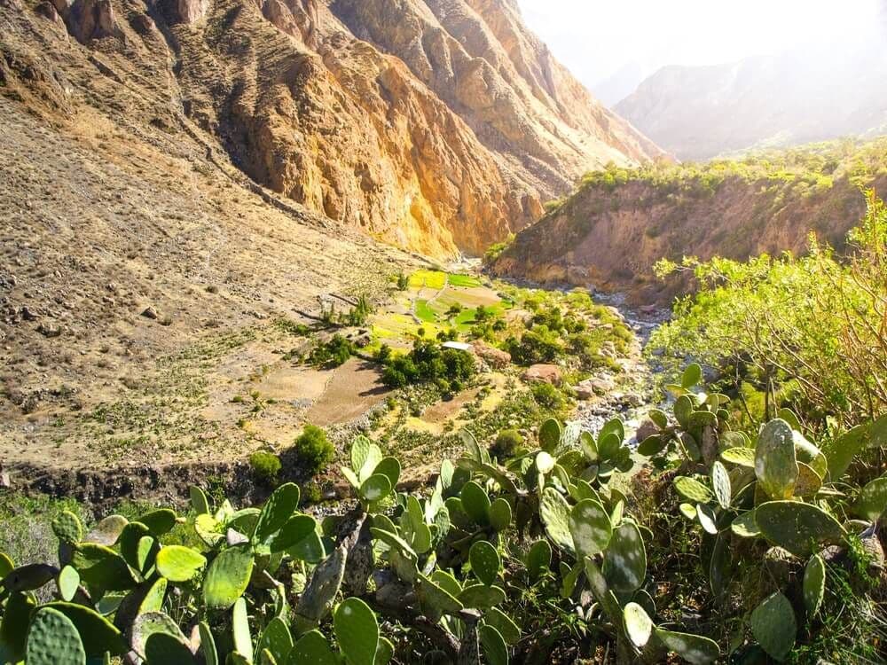 Canyon de Colca