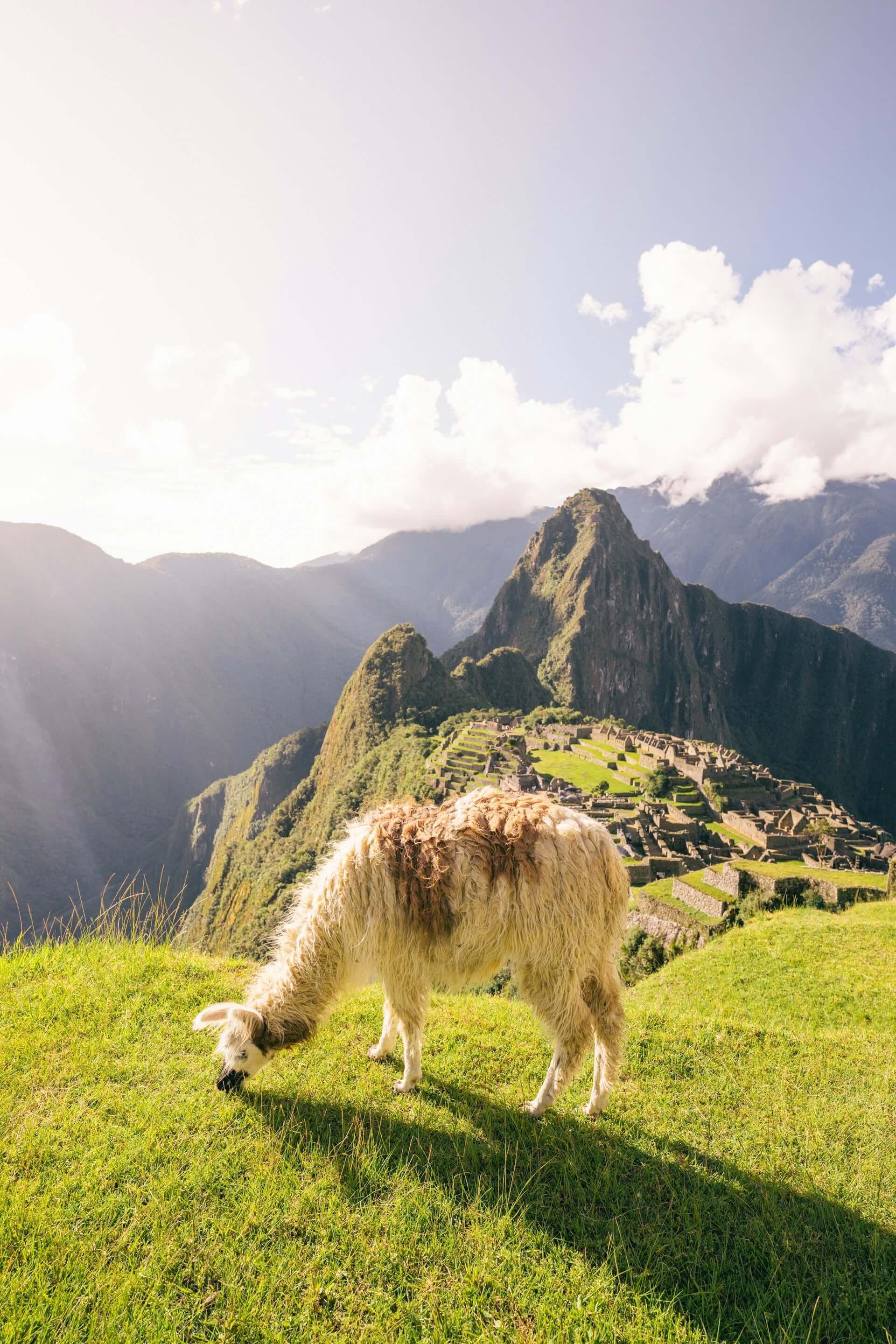 Machu Picchu, Pérou